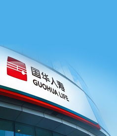 上海vi设计公司 logo设计 品牌设计公司慧目堂