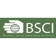 bsci验厂包通过 bsci 验厂难不难 bsci