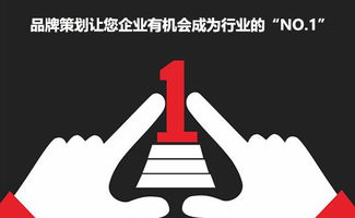 鸽子养殖如何通过品牌策划建立品牌形象提高销量与价格