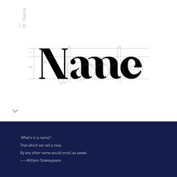name原创品牌视觉形象设计 一