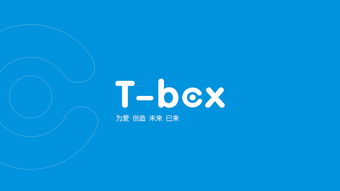 t box产品 品牌形象插画 vi设计 包装 平面 品牌 mr斑马 zcool