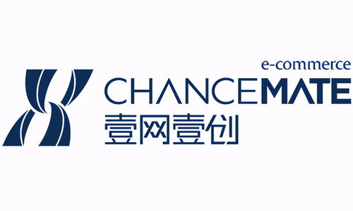 温州淘宝代运营公司整合
