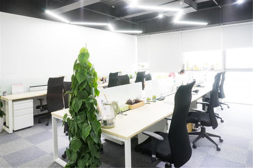 小公司大梦想,创造价值传播快乐,让世界记住有我们